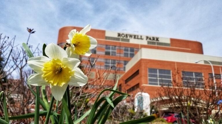 Roswell Park